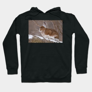 Show Shoe Hare Hoodie